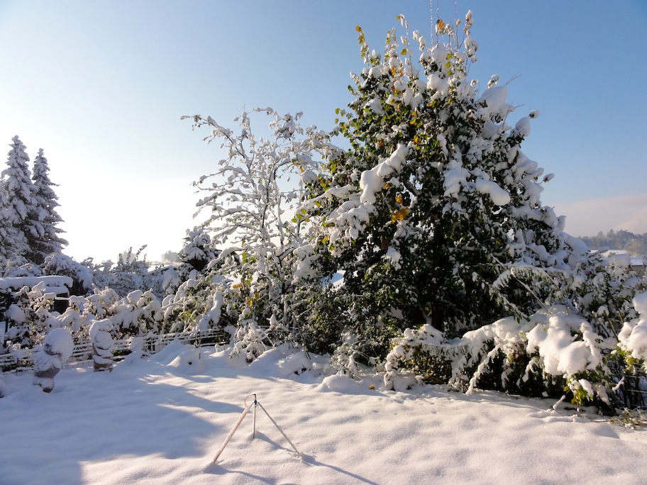 Bild - Winterlandschaft in Blickrichtung Sden